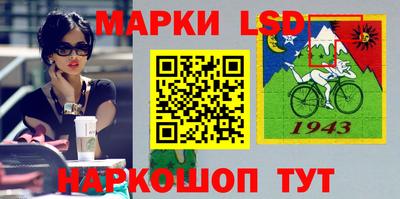 гидропоника Дубна