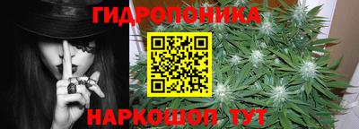 гидропоника Дубна