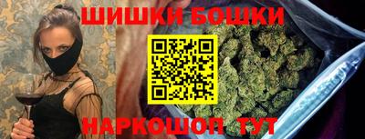 гидропоника Дубна