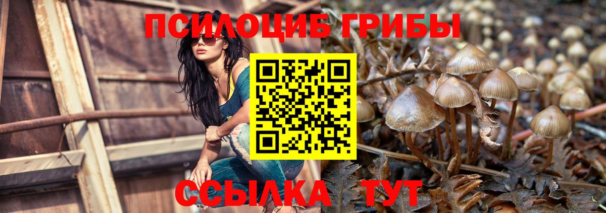 Псилоцибиновые грибы Magic Shrooms Моздок